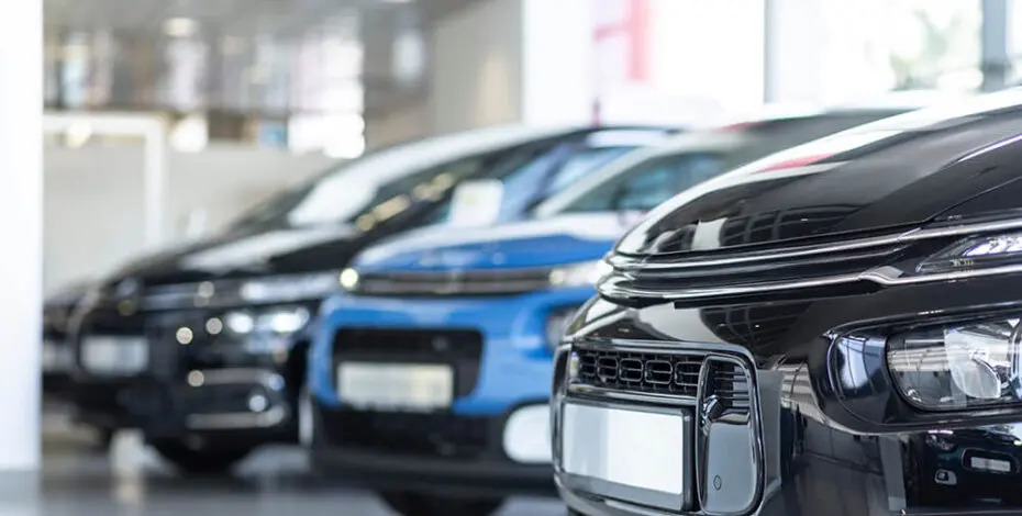 Low angle of extravagance store with cars in a row for sale